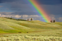 regenbogen